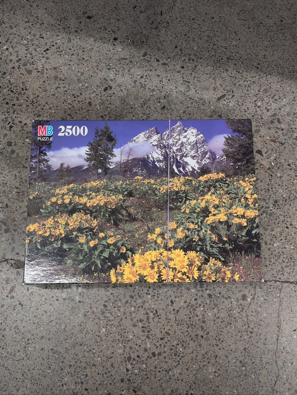 VTG MB 2500 Piece Puzzle Mountain Wildflower Wall Art - Yellow New Inbox